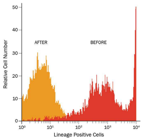 MagCellect试剂盒—干祖细胞相关阳/阴性磁珠分选